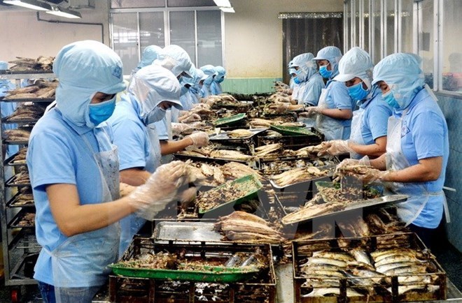 附圖：2018年前兩月越南水產(chǎn)品出口額同比增長近30%。（圖片來源：越通社）